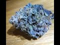 10 Strongest Marijuana Strains - YouTube