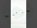 La Swimlane process (Template)