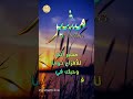 ابيات شعر على اسم مشير Ali اكسبلور Erfan اكسبلور تيك توك Fatima تيك توك جديد Mosheer 