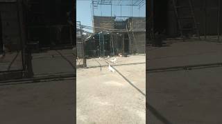 Best Breaders Birds Highflyers Kabootar