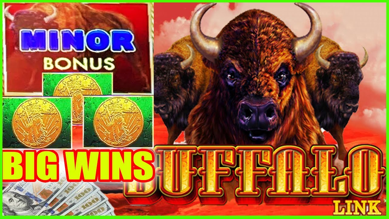 INCREDIBLE I LANDED THE MINOR Back 2 Back Bonus!  Buffalo Link Slot Machine