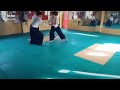 Cats Aikido Tiktok Cats Aikido Tiktok