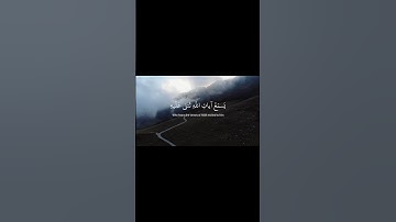 #القرآن_الكريم #القارئ ياسر الدوسري #راحة_نفسية