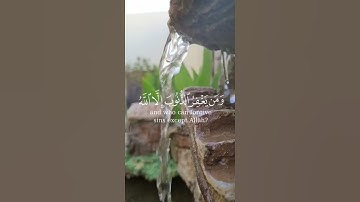 ومن يغفر الذنوب إلا الله  #سورة_آل_عمران#احمد_النفيس
