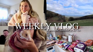 Weekly Vlog; Spend a peaceful weekend with me, very chatty &amp; an Aldi food shop haul | Sophie Faye