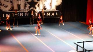 Ccgi Allstars Sharks Cheer Leaders