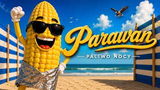 Paliwo Nocy Parawan Visualizer