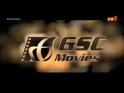 Amazing Spring Movie in TV2 For 2021 Chinese New Year Movies