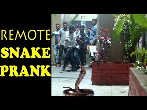 remote-control-snake-prank-l-snake-prank-in-india