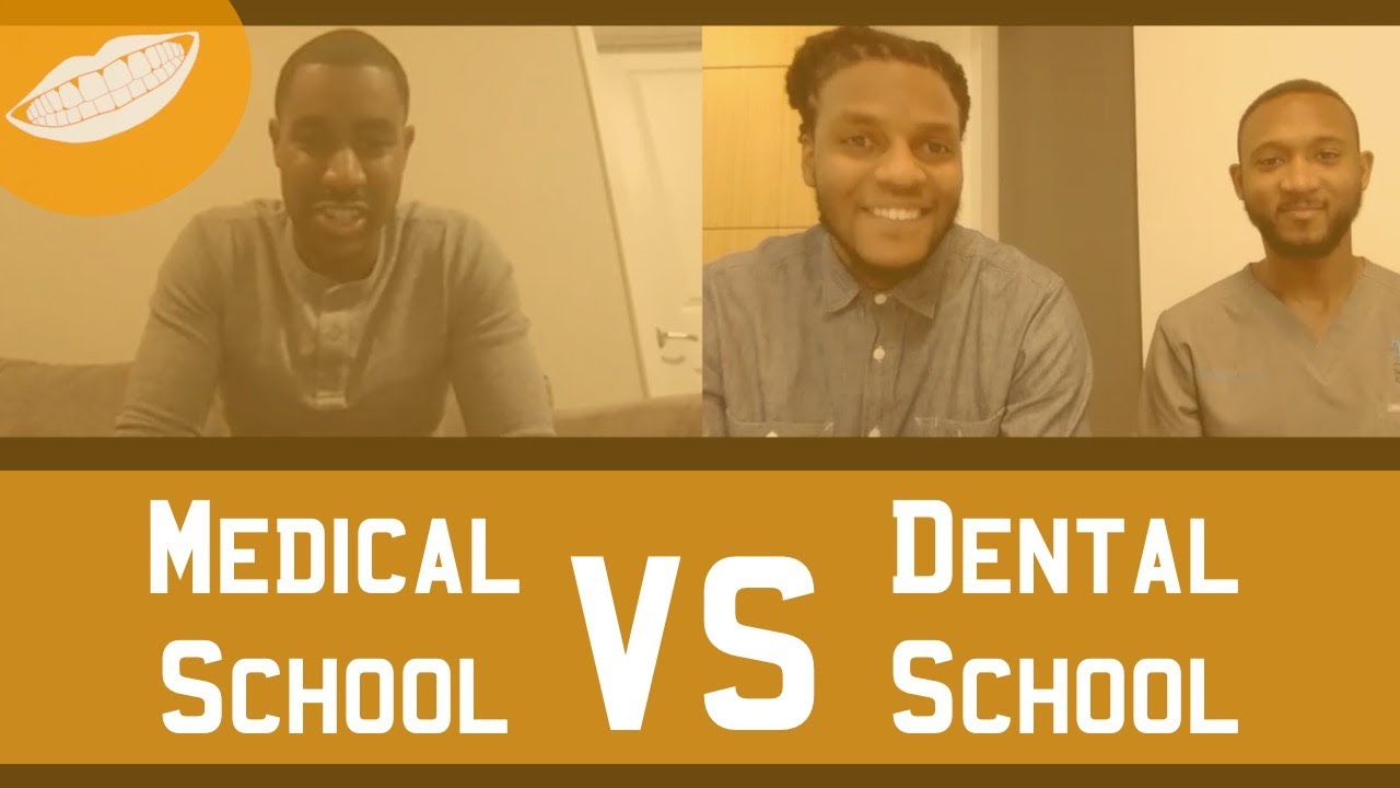 Dental School vs. Medical School FutureDDS YouTube