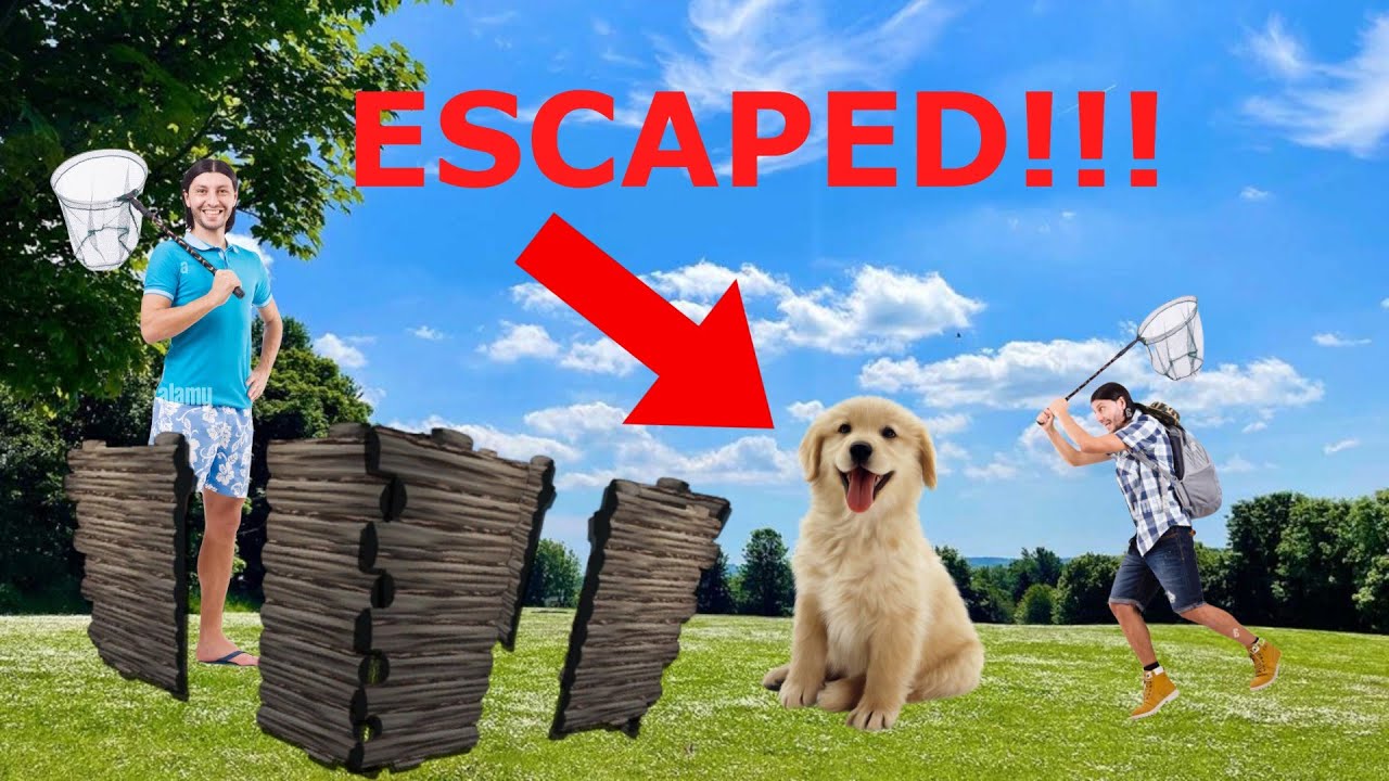 DANGEROUS DOG CHASE! - Ark S1 Ep11