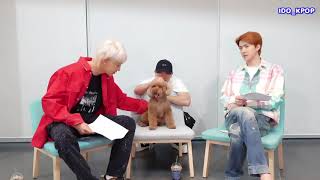 (SUB INDO) EXO-SC INTERVIEW '1 BILLION VIEWS' WITH GAEKO (PART1)