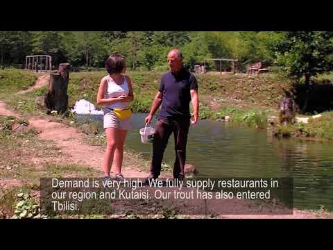 კოოპერატივი ქულბაქი Cooperative Kulbaki