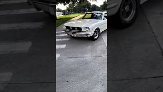 Ford Mustang Fastback at a Car Show. #cars #carshow #fordmustang #shorts