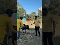 Mama Bhanja episode 01 🤫😂😂 #trending #comedy #shortvideos #funny #ytshorts #shorts #viral #reels