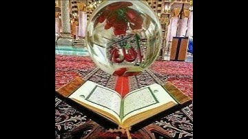 سورة الكافرون الشيخ ممدوح عبداللاه الهاشمي