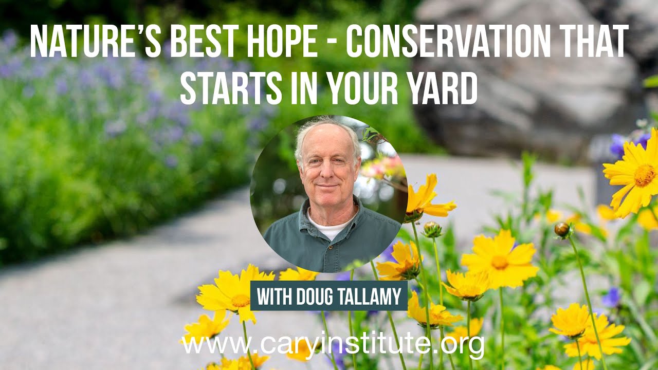 Nature's Best Hope - Conservation That Starts in Your Yard with Doug Tallamy