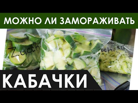Можно ли замораживать кабачки? Советы по заморозке кабачков ТЁРТЫХ, КРУЖОЧКАМИ, ГОТОВЫХ и СЫРЫХ