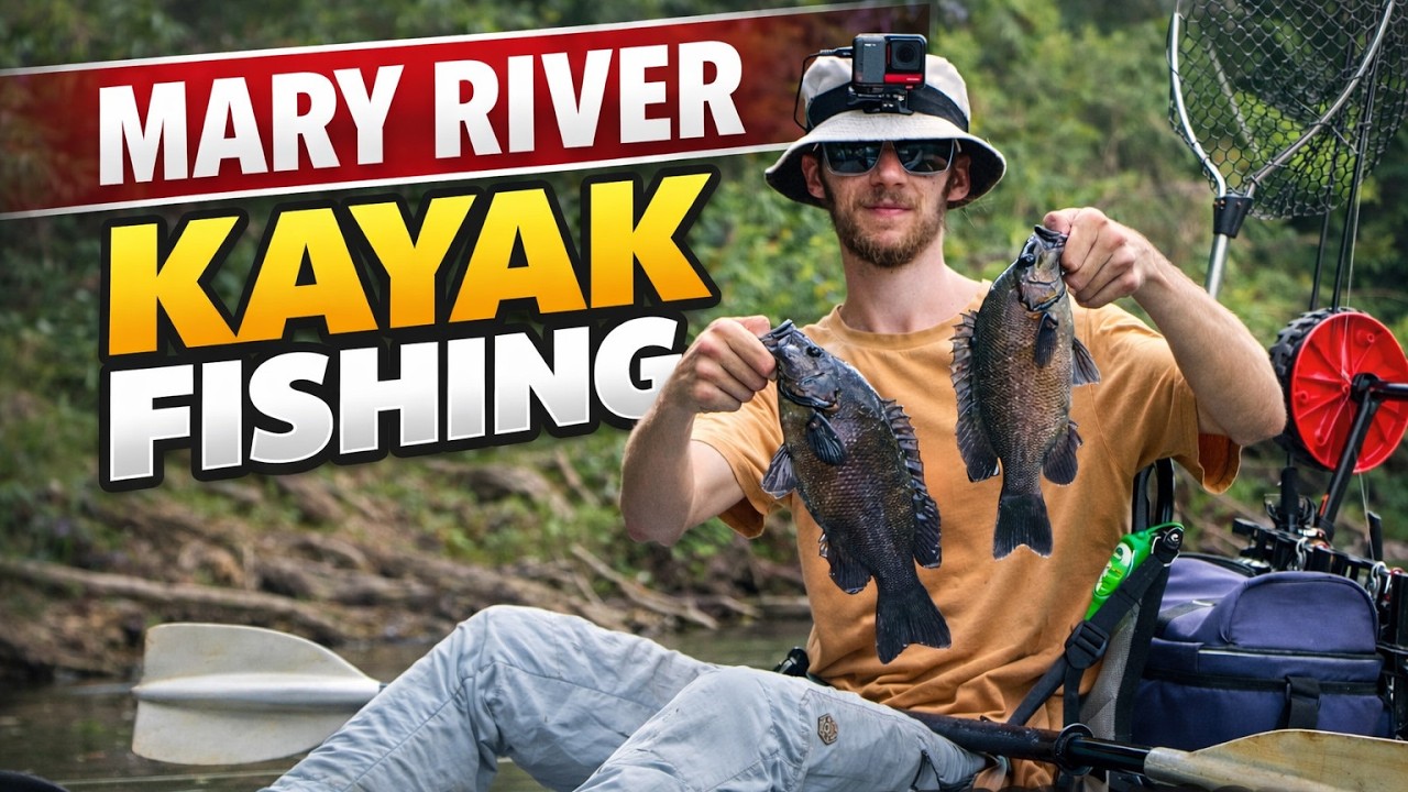 Insane Sooty Grunter Fishing, So Many Big Surface Hits (Sooty, Bass, Toga)