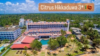 Citrus Hikkaduwa пляжный отель в Хиккадуве #шриланка