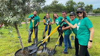 Planting trees for a brighter tomorrow by Costex Tractor Parts 73 views 7 months ago 2 minutes, 6 seconds