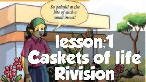 Lesson:1|Caskets of life|Rivision|Class:6