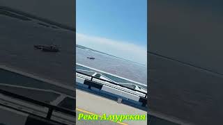 Река Амурская // Amur daryosi, qisqacha 😊