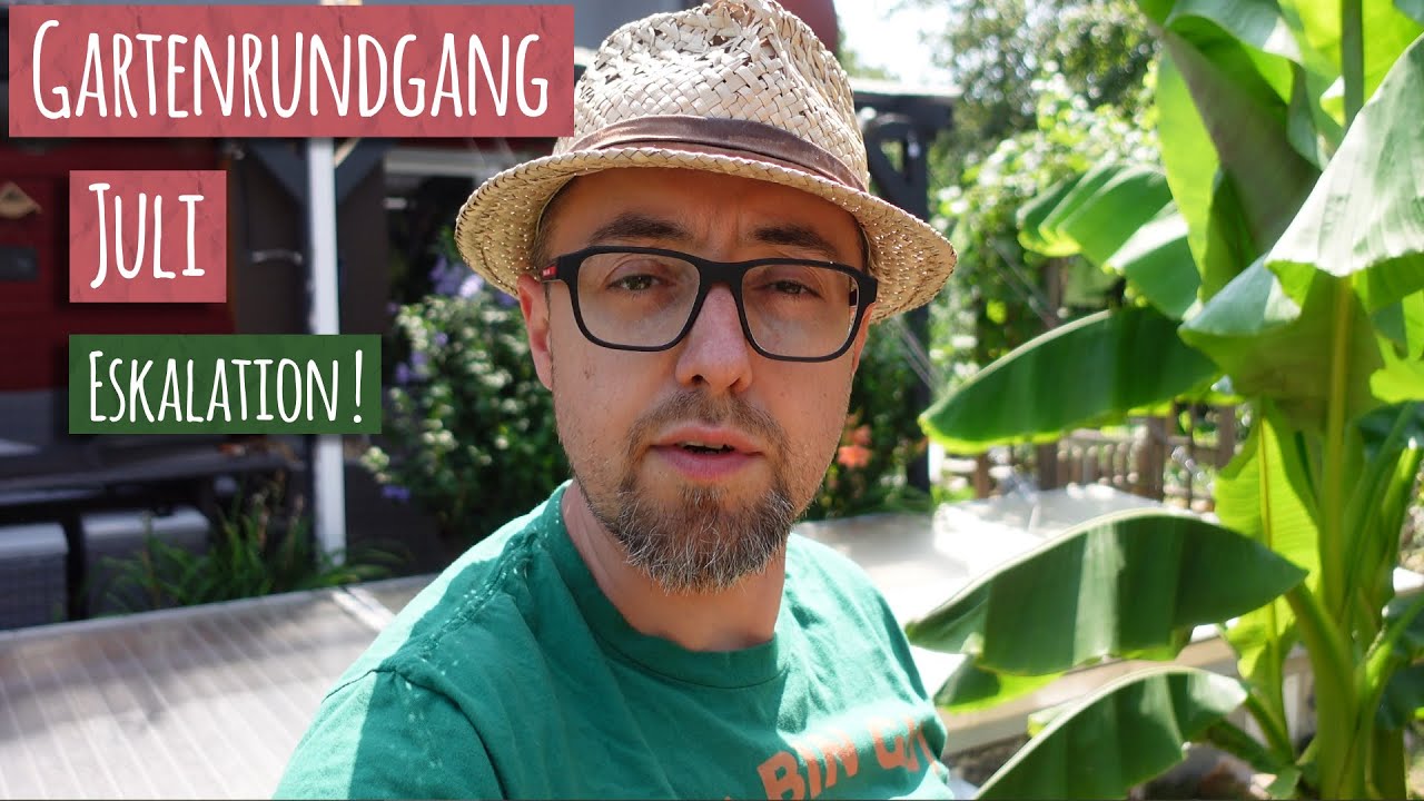 Gartenrundgang Juli 2023 👨‍🌾 Wo sind die Blumen hin? Tomaten Knoblauch