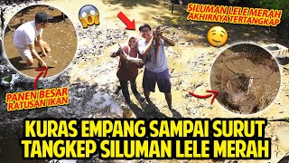 KURAS KOLAM EMPANG SAMPAI SURUT! TANGKEP SILUMAN LELE MERAH! PANEN BESAR RATUSAN IKAN TERTANGKAP!