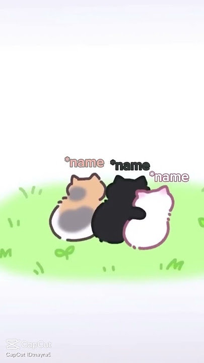 Cute cat😍😍😍