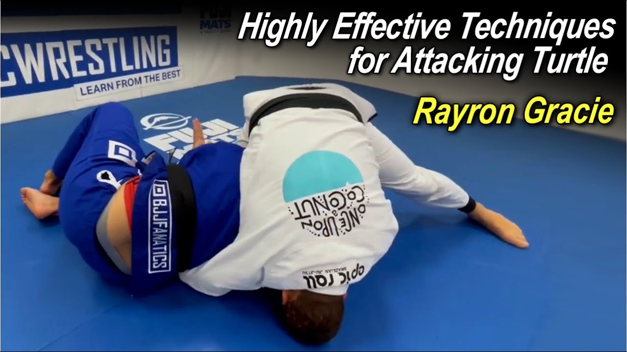 Highly Effective Techniques for Attacking Turtle with Rayron Gracie ...