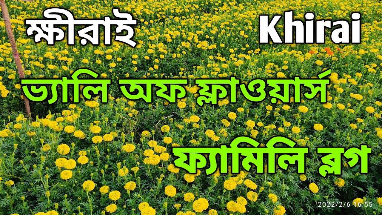 ক্ষীরাই | Valley Of Flowers | Family Vlog |Flowers Garden 2022 | পুষ্প উপত্যকা || Khirai West Bengal