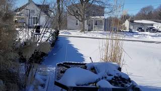 January 20, 2019 Day After Our Big Storm...