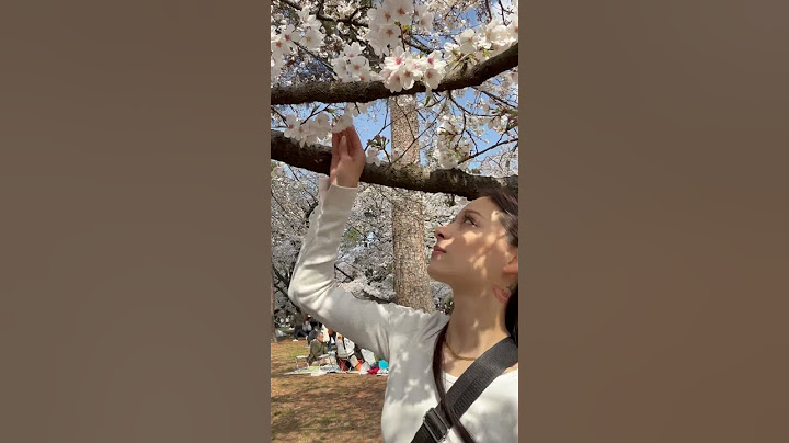 桜がかわいそう。#ごめんなさい#花見#日本に生まれてよかった#カップル#可愛い#お花見デート#花より団子#一瞬で散っちゃう