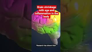 Brain shrinkage with age and inflammation in the body #shorts #brainhealth