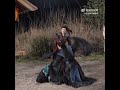 BTS Melody Of Golden Age Chang Le Qu Shen Du Yan Xin Jing Lin 