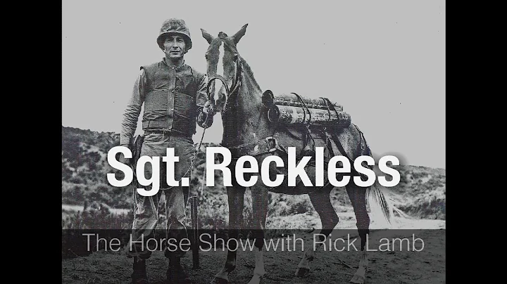Sgt. Reckless - the real war horse