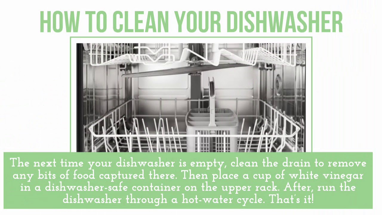 Here's Why You Should Put a Bowl of Vinegar In Your Dishwasher - YouTube