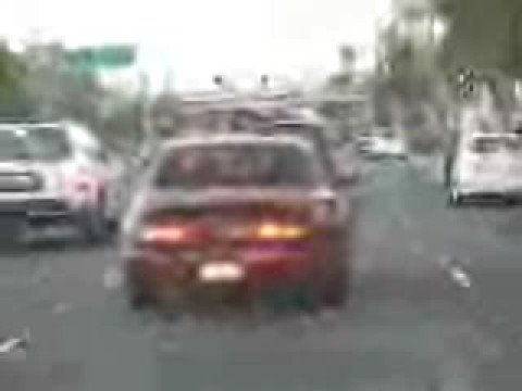 dog tracking car dog tracking car