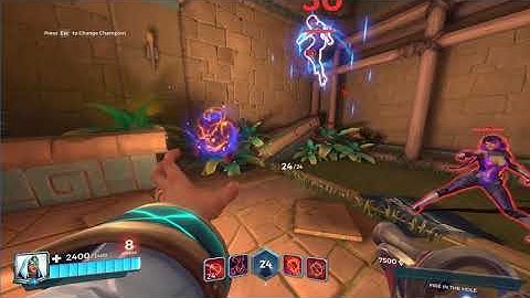 the best Paladins glitch ever
