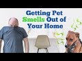 How to Get Rid of Pet Smells in a House