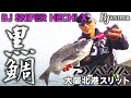【黒鯛】DAIWA BJスナイパーヘチX 大阪北港スリット ヘチ釣り 落し込み