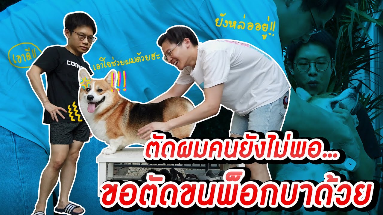 มาร์ชจุ...ได้ใจ ตัดผมคนยังไม่พอ ขอตัดขนพ็อกบาด้วย | MARCHU