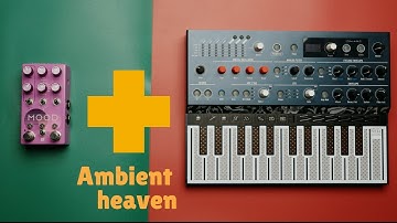 Endless Ambient Textures — Chase Bliss Mood MkII Meets Arturia MicroFreak