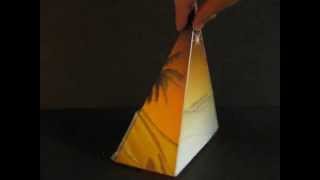 Flower Soft Christmas Nativity Luminary screenshot 4