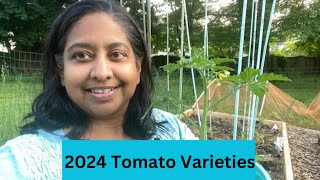 2024 Tomato varieties and Update | Grow Food Security