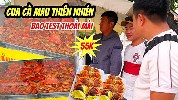 Hai Anh Trai Cà Mau Hiền Lành Bán Cua Gạch Thiên Nhiên Bao Ăn Bao Trả Trên Đường Phố Sài Gòn