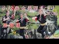 【阿波踊り2026】小松島金長狸まつりで阿波踊り　黒潮連