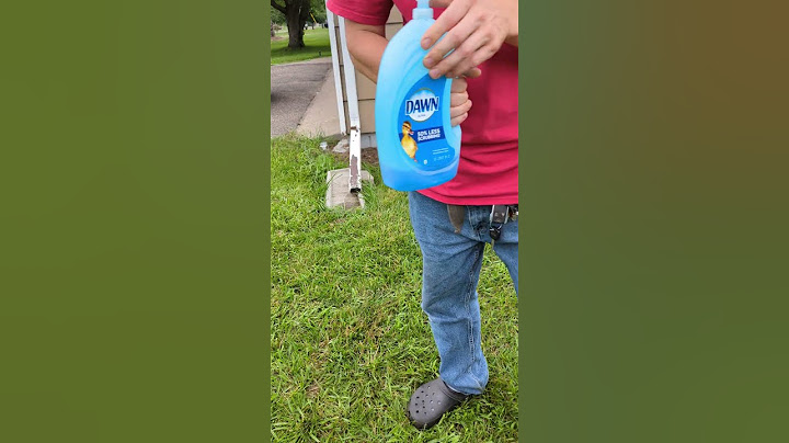 👍How To Get Rid Of Ground Nesting Bees👍