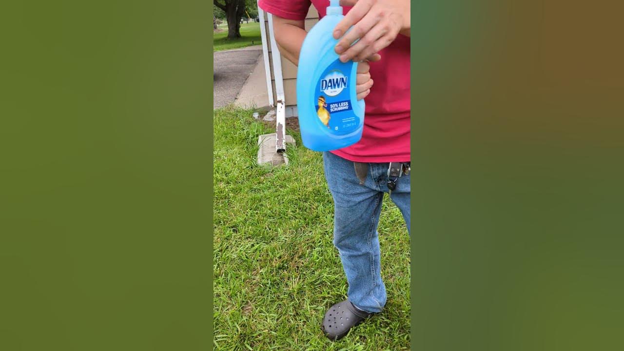 How To Get Rid Of Ground Nesting Bees YouTube how-to-get-rid-of-ground-nesting-bees-youtube